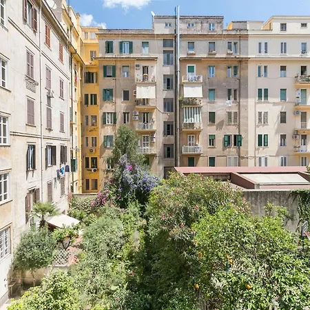 Queen Meg ゲストハウス